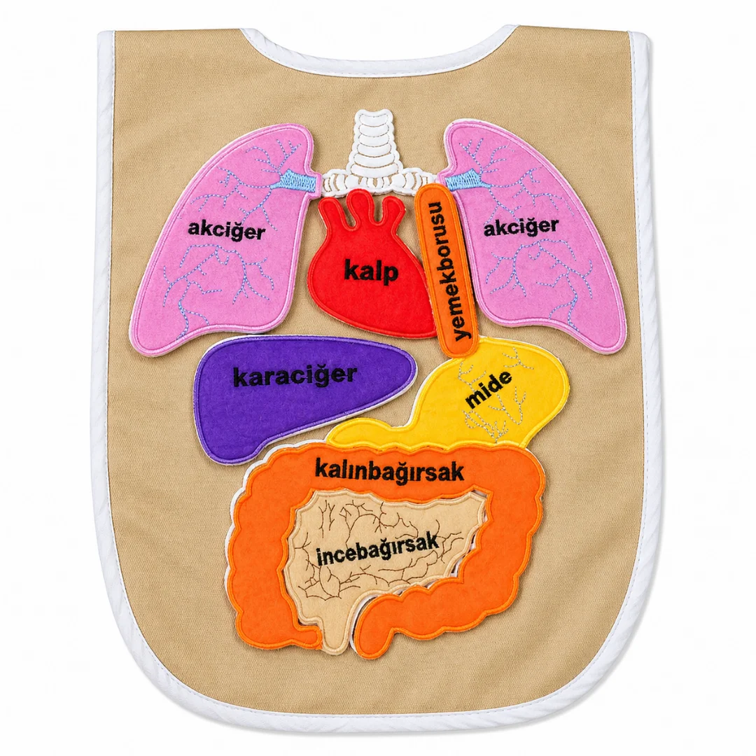 anaokulu-egitici-organ-onlugu Anaokulu Eğitici Organ Önlüğü