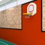 Çocuk Basket Potası Duvara Monte